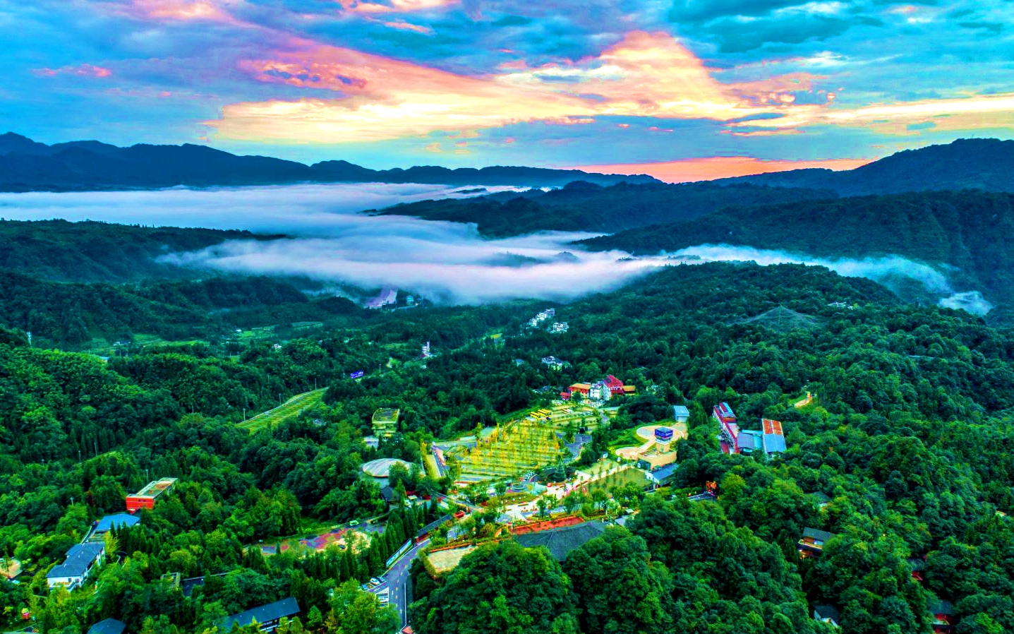 Z6·人生就是博(中国区)官方网站