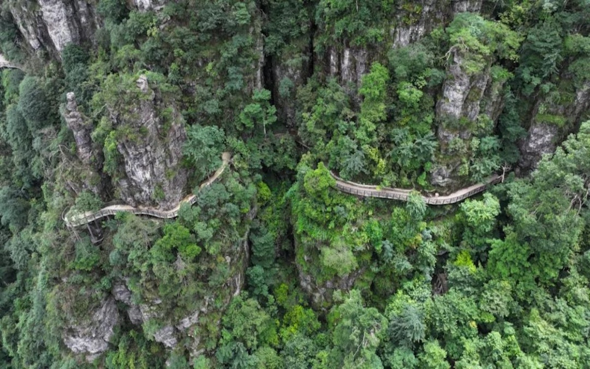 Z6·人生就是博(中国区)官方网站